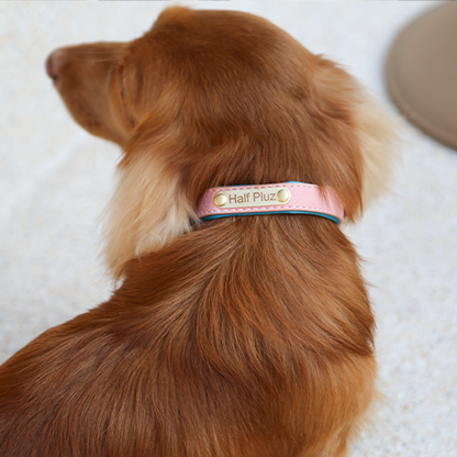 Durable Collar