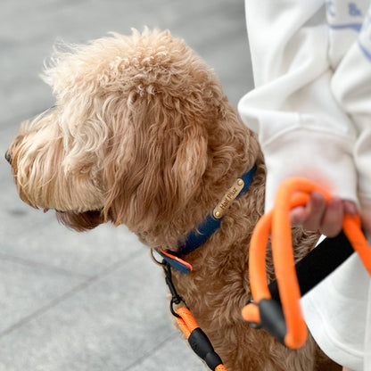 Durable Collar